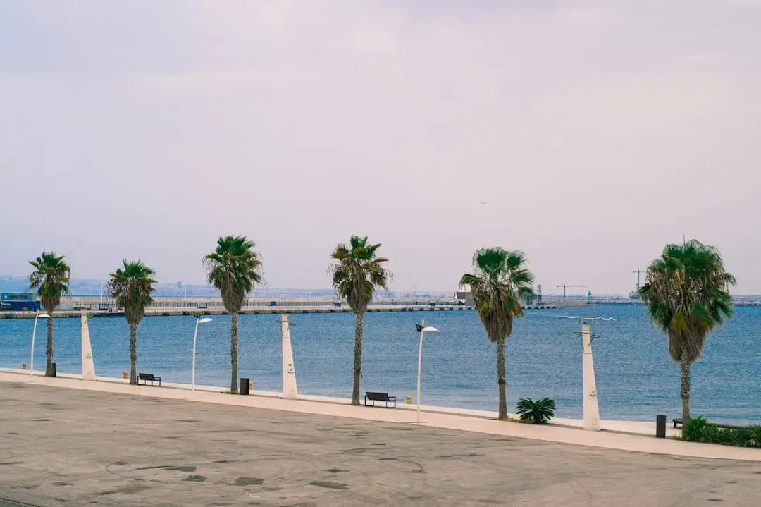 Fina lekplatser i Alicante, Spanien illustration